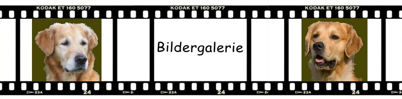 Bildergalerie1